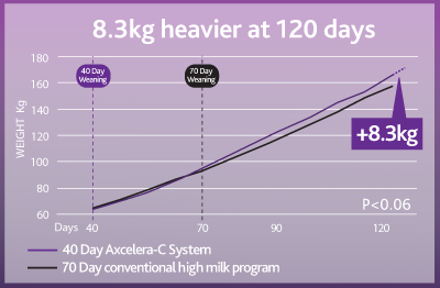 8kg heavier at 120 days