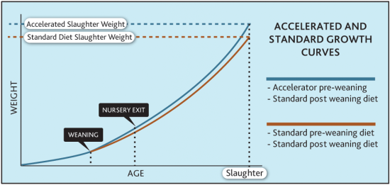 IPT Article 3 graph